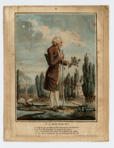 Rousseau herborisant